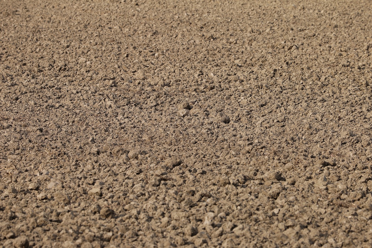 earth, soil, ground-3622038.jpg